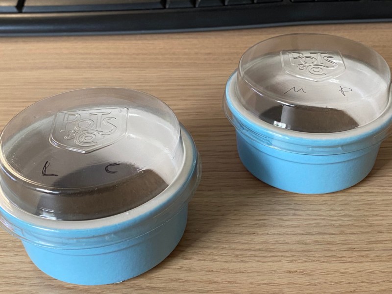 Two thalloids in pots – The Common and the Crescent-cup&nbsp;Liverwort