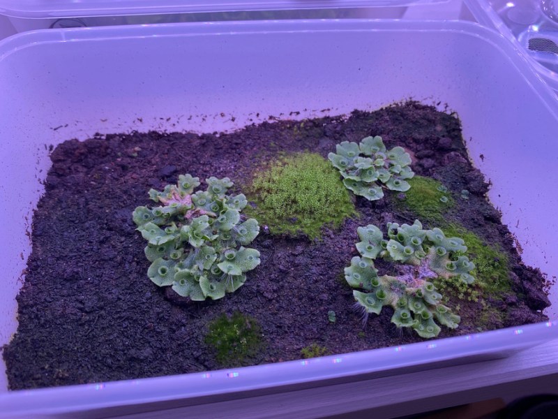 A better cultivation&nbsp;method