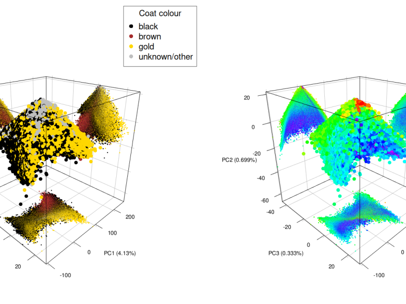 Visualising large pedigrees with&nbsp;PCA